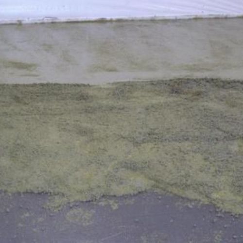 Pavimento de hormigón en Valladolid 01